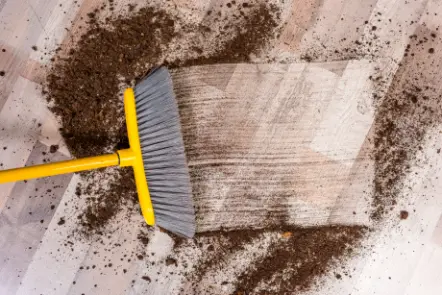 Read more about the article Why Do Malaysian Cleaning Companies Recommend Rinse & Soil Extraction for Deep Sanitisation?
